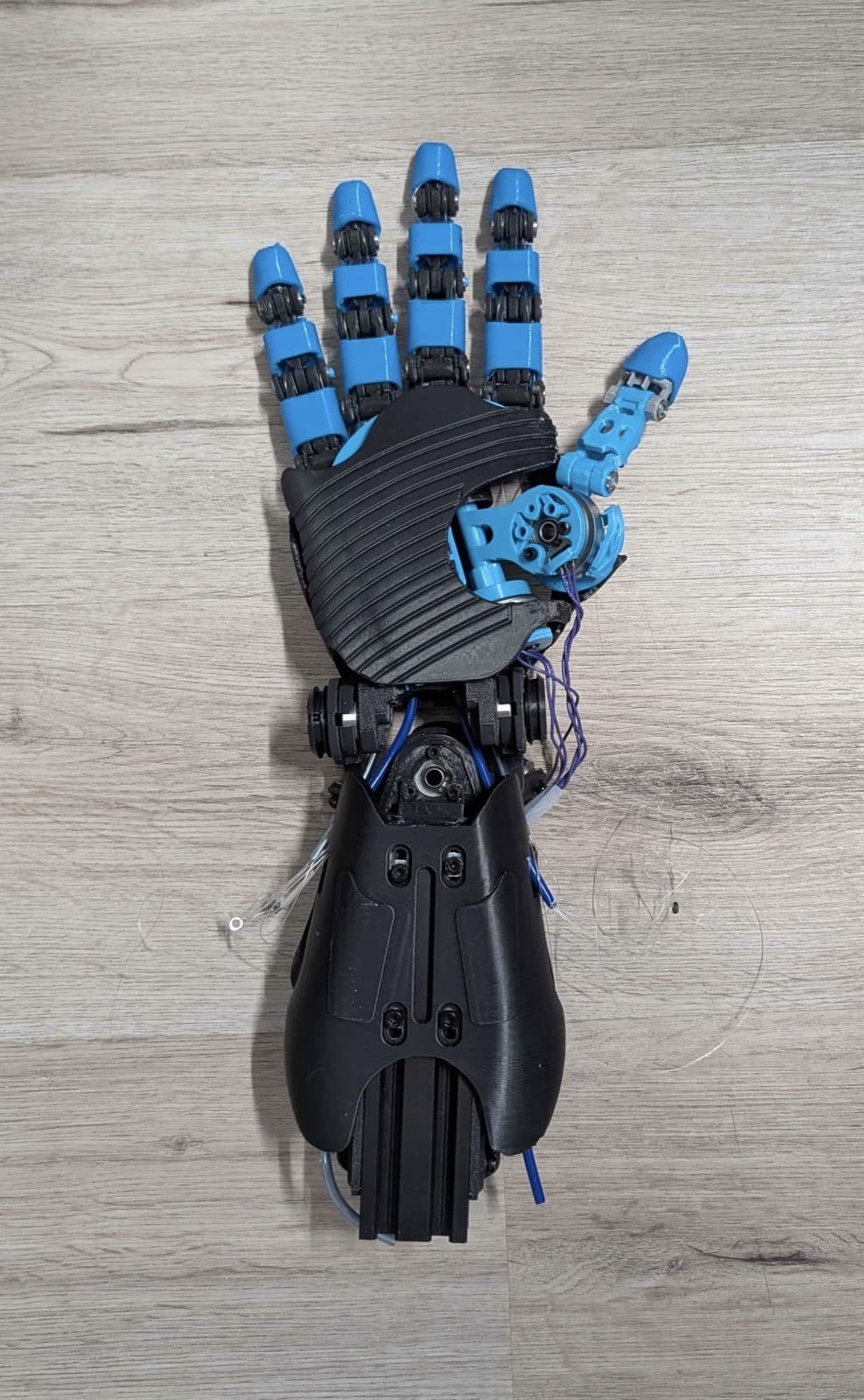 22 DOF hand, palm view with gripper joint detail