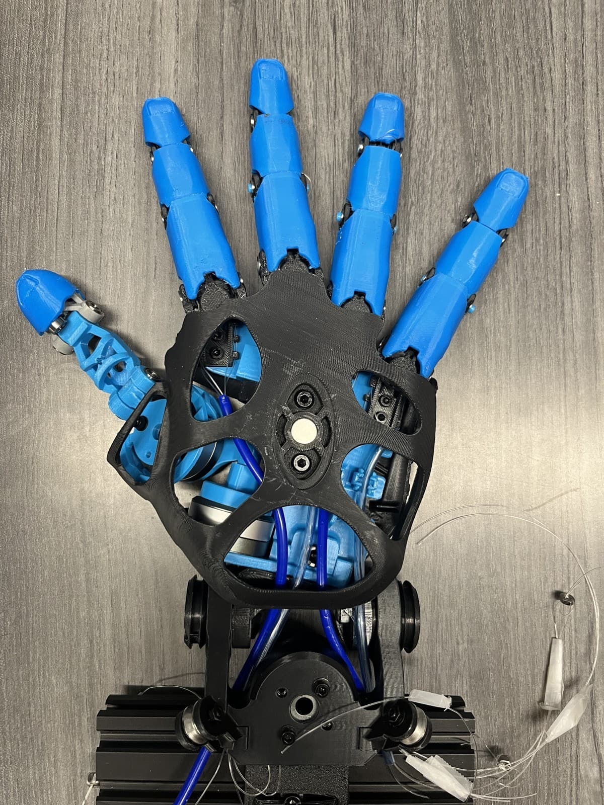 22 DOF hand, dorsal view with fingers spread